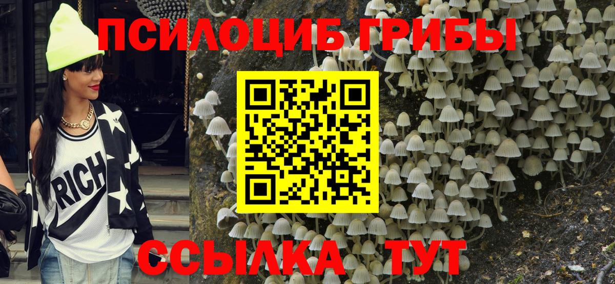  COCAIN Майкоп