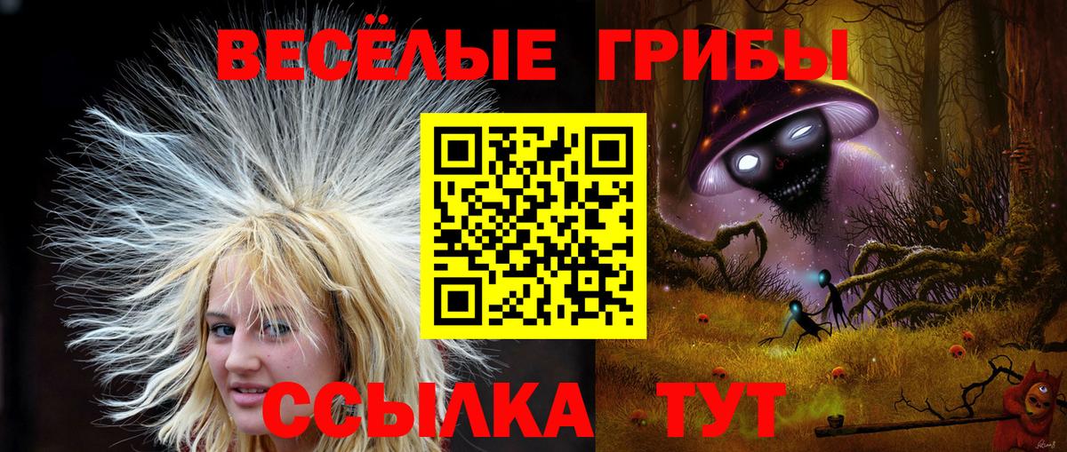 Псилоцибиновые грибы Psilocybine cubensis Майкоп